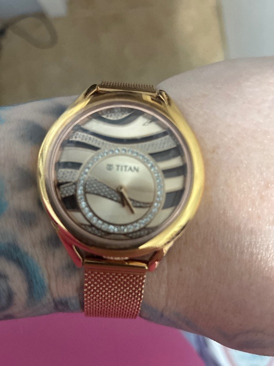Brand new gold zebra face Titan watch